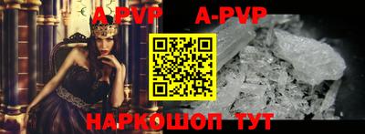 Альфа ПВП Кингисепп