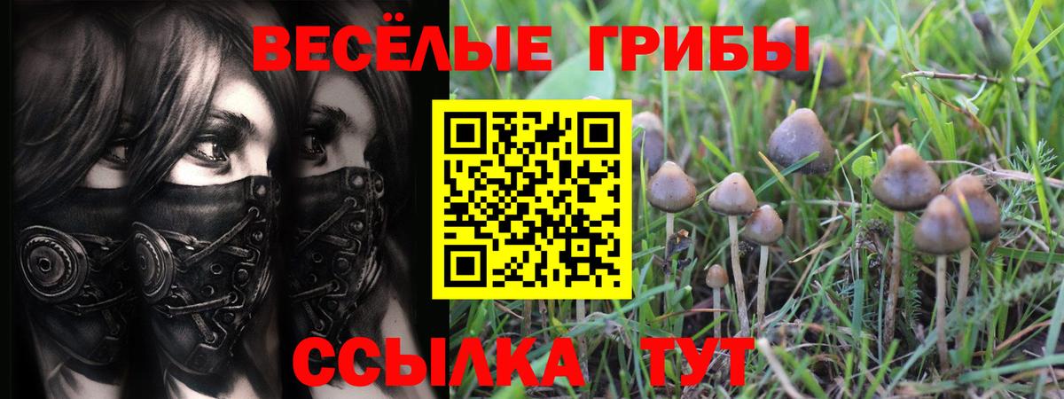 Псилоцибиновые грибы мицелий Бирск