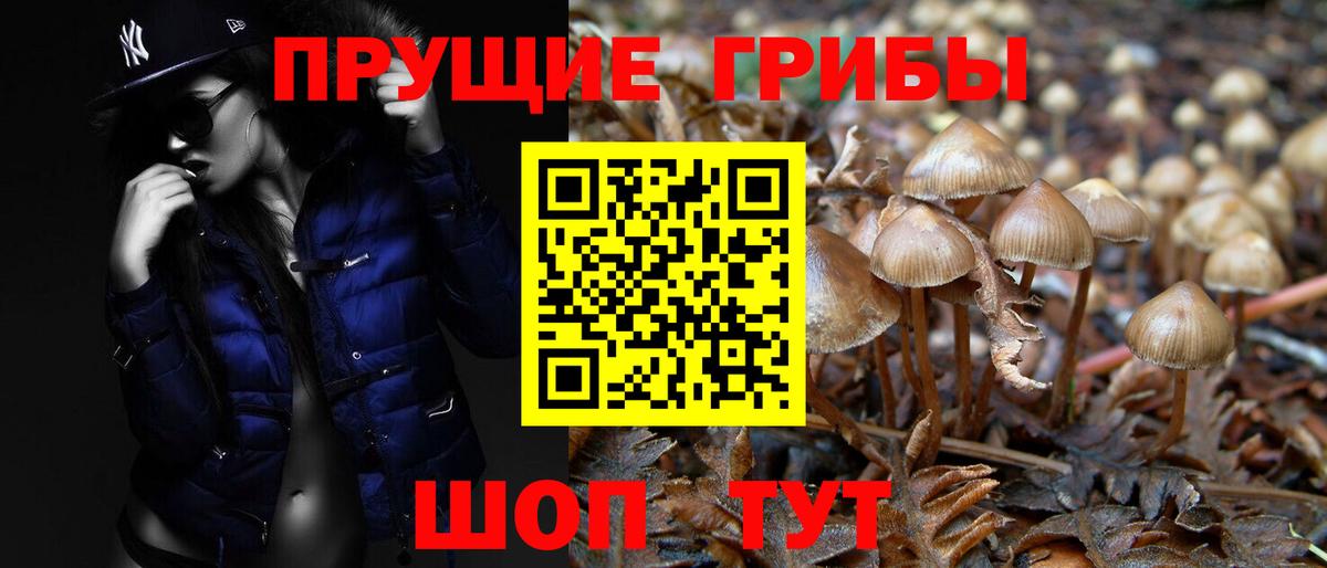 Галлюциногенные грибы мицелий  Вход с VPN  Галлюциногенные грибы Psilocybe  Бирск 